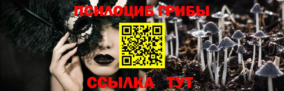 Псилоцибиновые грибы прущие грибы Десногорск